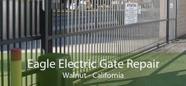 Eagle Electric Gate Repair Walnut - California