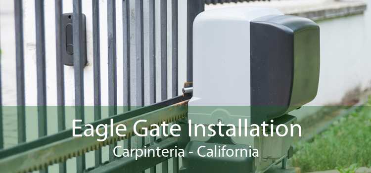 Eagle Gate Installation Carpinteria - California