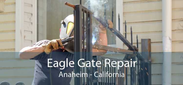 Eagle Gate Repair Anaheim - California