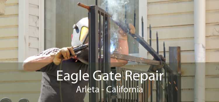 Eagle Gate Repair Arleta - California