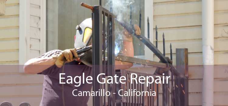 Eagle Gate Repair Camarillo - California