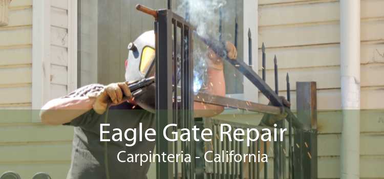 Eagle Gate Repair Carpinteria - California