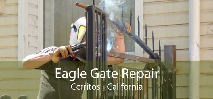 Eagle Gate Repair Cerritos - California