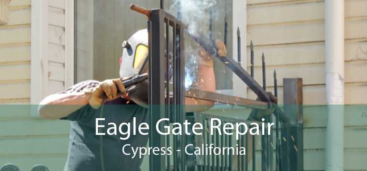 Eagle Gate Repair Cypress - California