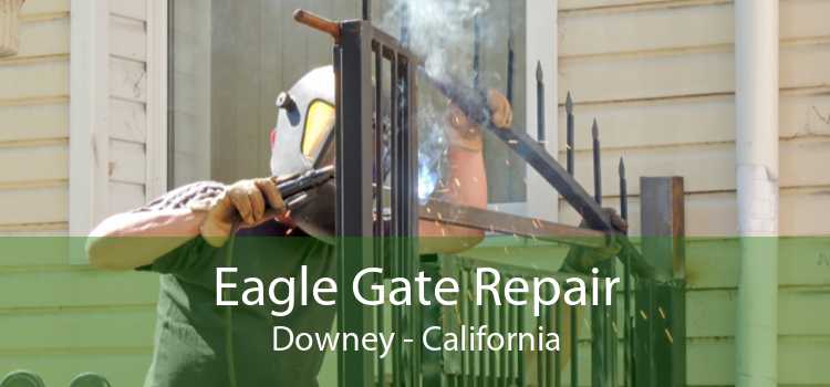 Eagle Gate Repair Downey - California