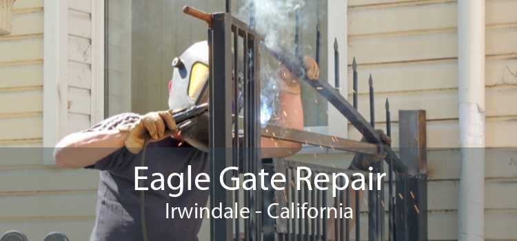 Eagle Gate Repair Irwindale - California