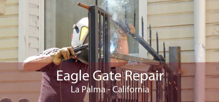 Eagle Gate Repair La Palma - California