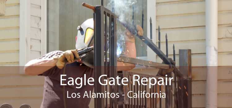 Eagle Gate Repair Los Alamitos - California