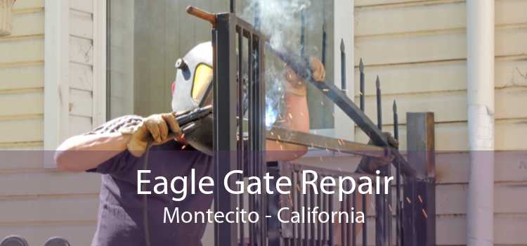 Eagle Gate Repair Montecito - California