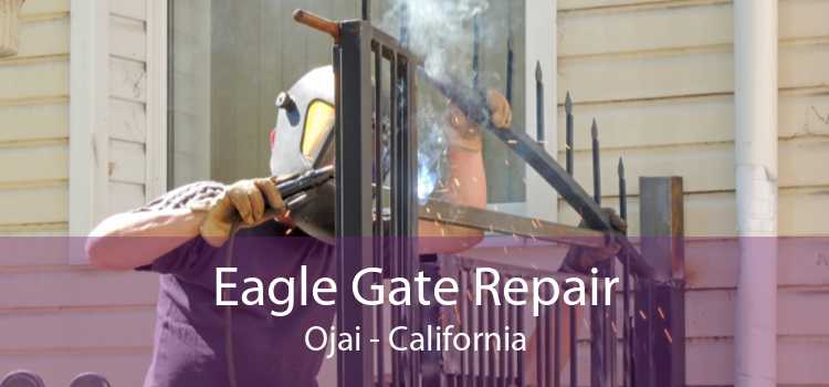 Eagle Gate Repair Ojai - California