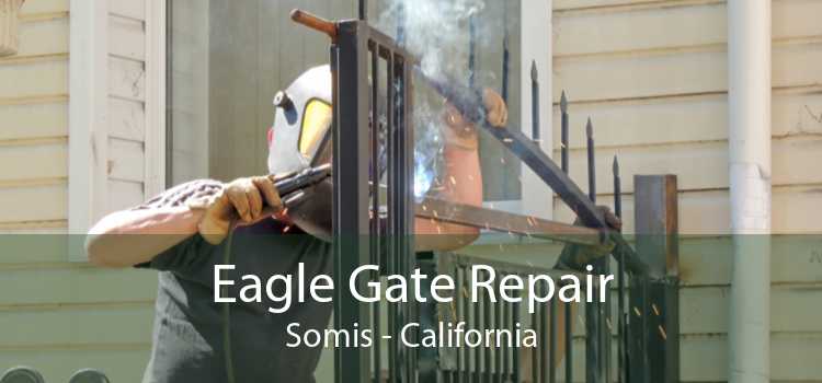 Eagle Gate Repair Somis - California