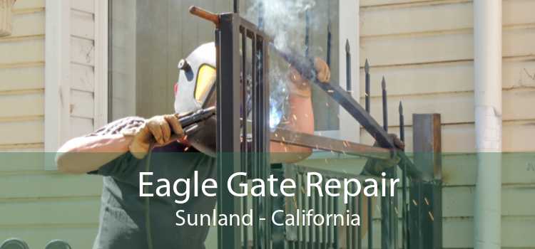 Eagle Gate Repair Sunland - California