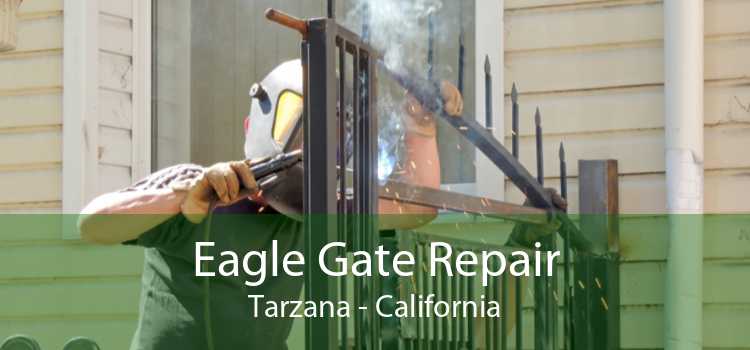 Eagle Gate Repair Tarzana - California