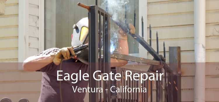 Eagle Gate Repair Ventura - California