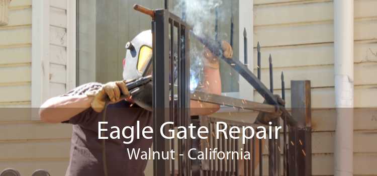 Eagle Gate Repair Walnut - California