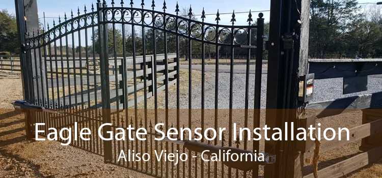 Eagle Gate Sensor Installation Aliso Viejo - California