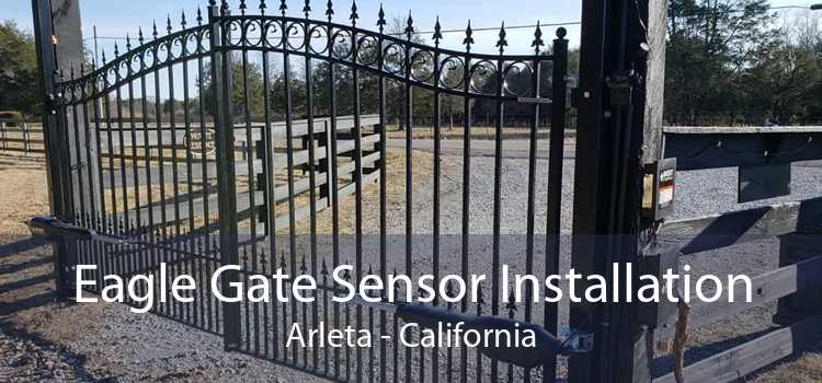 Eagle Gate Sensor Installation Arleta - California