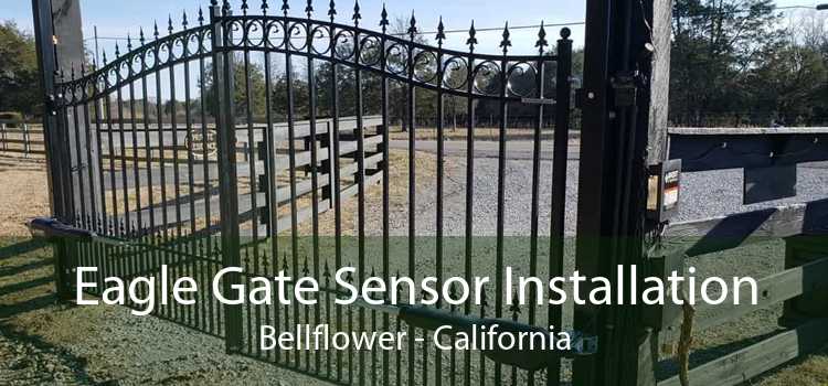 Eagle Gate Sensor Installation Bellflower - California