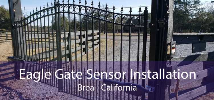 Eagle Gate Sensor Installation Brea - California