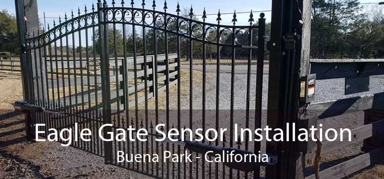 Eagle Gate Sensor Installation Buena Park - California