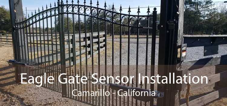 Eagle Gate Sensor Installation Camarillo - California