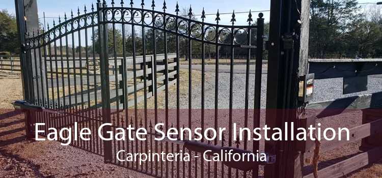 Eagle Gate Sensor Installation Carpinteria - California