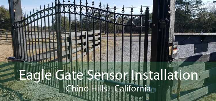 Eagle Gate Sensor Installation Chino Hills - California