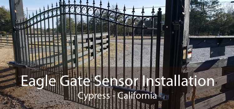 Eagle Gate Sensor Installation Cypress - California