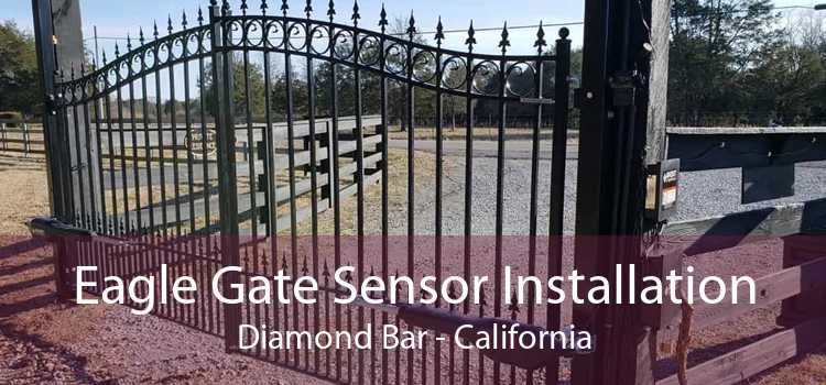 Eagle Gate Sensor Installation Diamond Bar - California