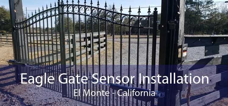 Eagle Gate Sensor Installation El Monte - California