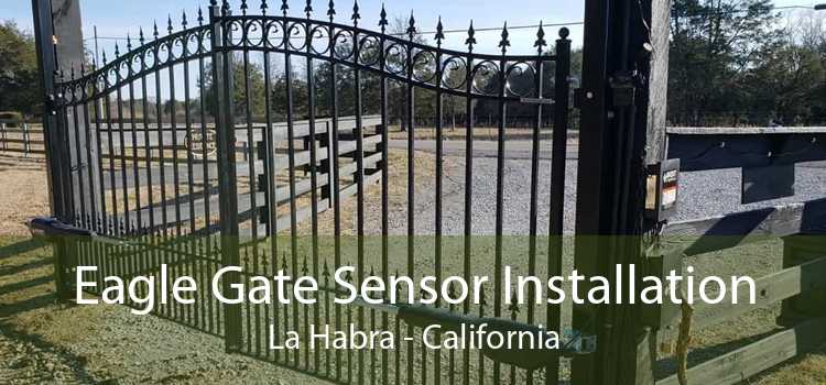 Eagle Gate Sensor Installation La Habra - California