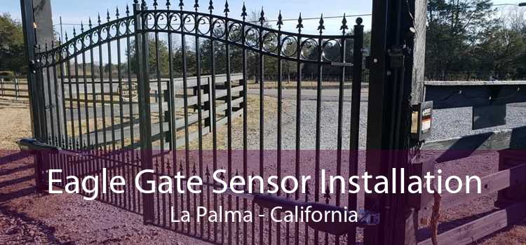 Eagle Gate Sensor Installation La Palma - California