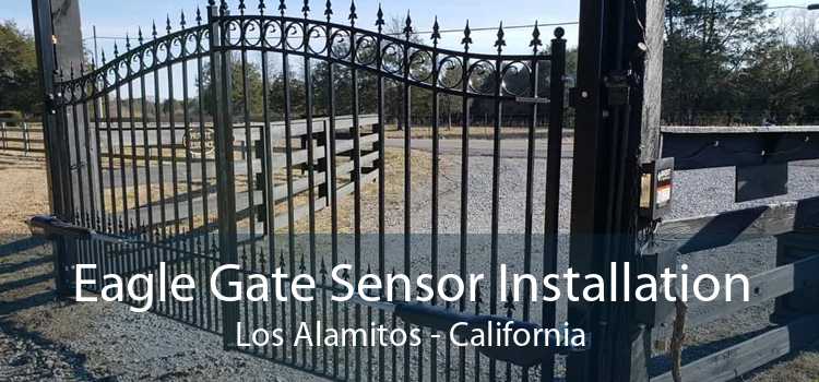 Eagle Gate Sensor Installation Los Alamitos - California