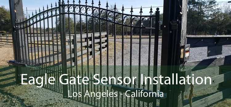 Eagle Gate Sensor Installation Los Angeles - California