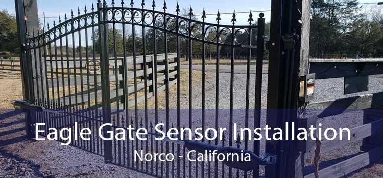 Eagle Gate Sensor Installation Norco - California