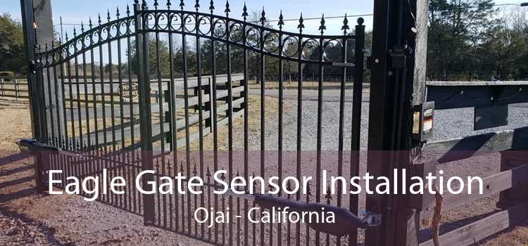 Eagle Gate Sensor Installation Ojai - California