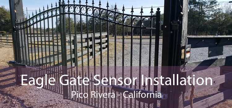 Eagle Gate Sensor Installation Pico Rivera - California