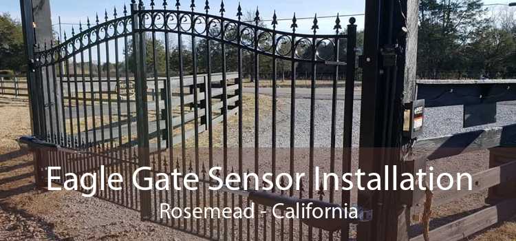 Eagle Gate Sensor Installation Rosemead - California