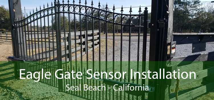 Eagle Gate Sensor Installation Seal Beach - California