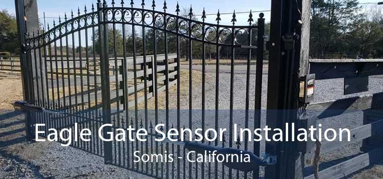 Eagle Gate Sensor Installation Somis - California