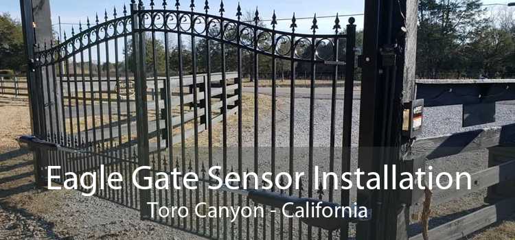 Eagle Gate Sensor Installation Toro Canyon - California