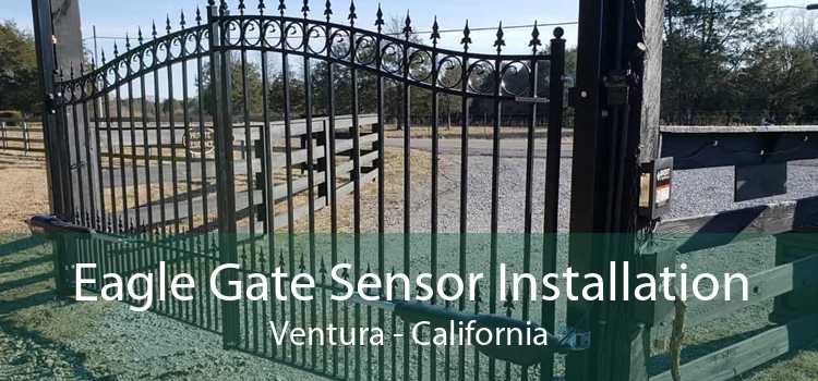 Eagle Gate Sensor Installation Ventura - California