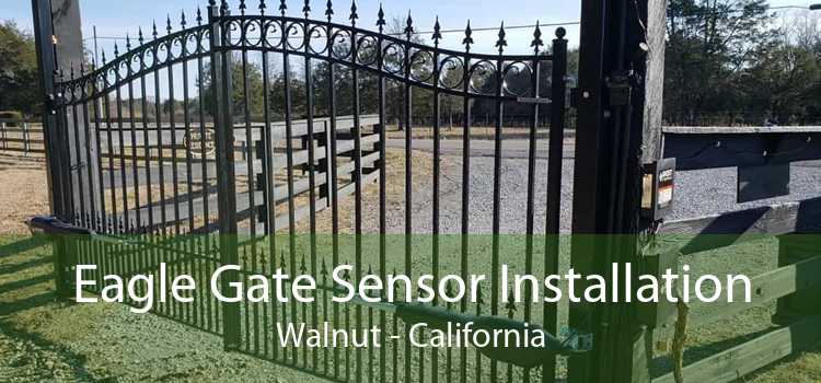 Eagle Gate Sensor Installation Walnut - California