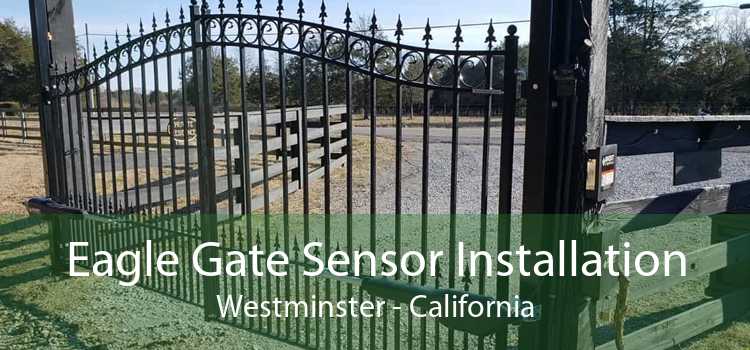 Eagle Gate Sensor Installation Westminster - California