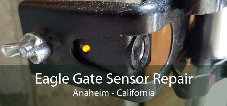 Eagle Gate Sensor Repair Anaheim - California