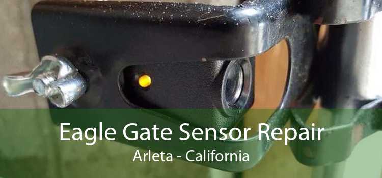 Eagle Gate Sensor Repair Arleta - California