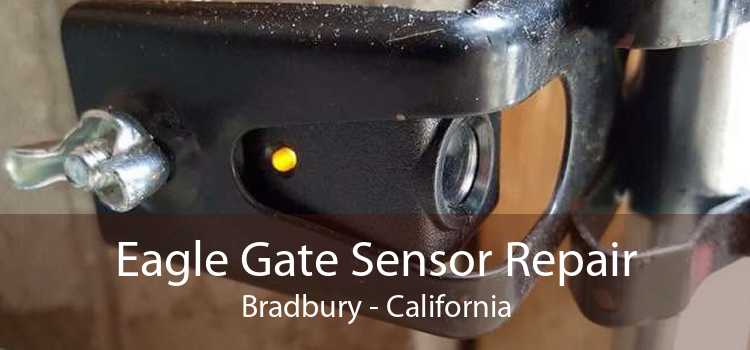 Eagle Gate Sensor Repair Bradbury - California