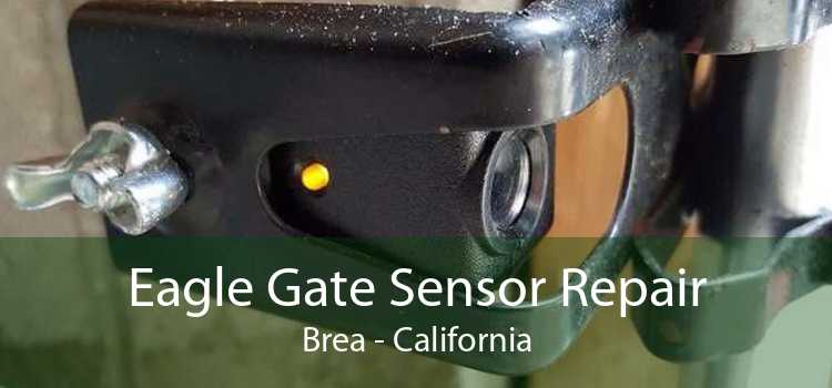 Eagle Gate Sensor Repair Brea - California