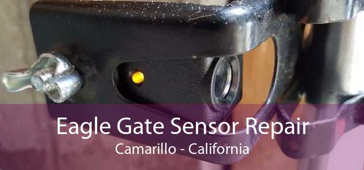 Eagle Gate Sensor Repair Camarillo - California