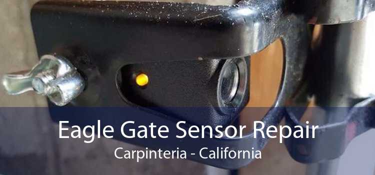 Eagle Gate Sensor Repair Carpinteria - California